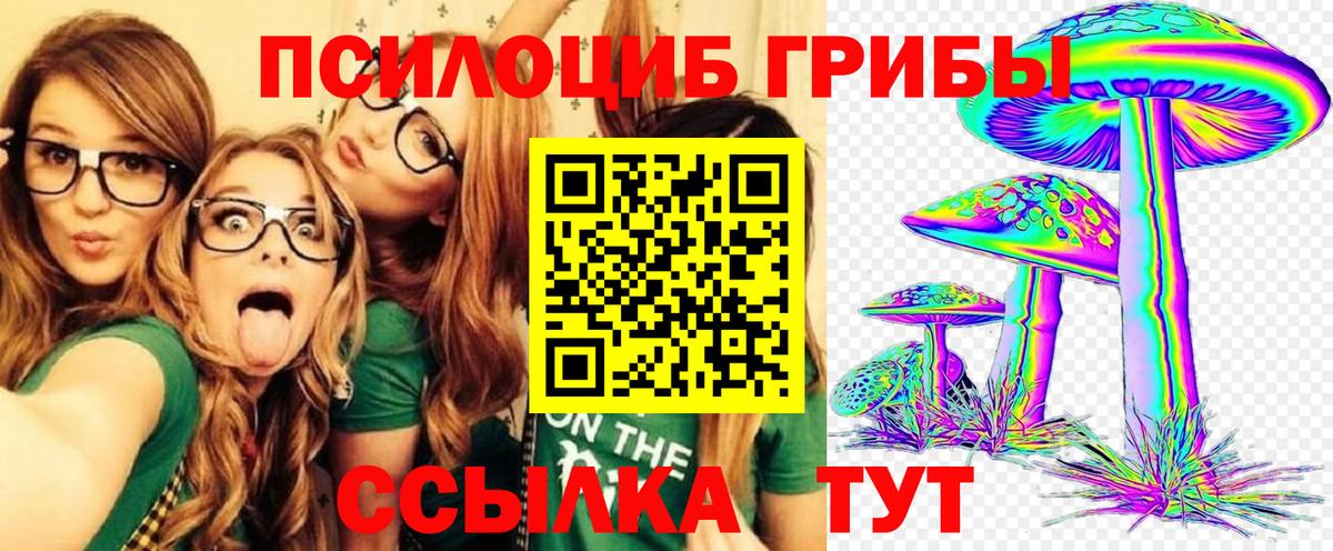 Псилоцибиновые грибы Magic Shrooms  Псилоцибиновые грибы ЛСД  как найти закладки  Вход с VPN  Калининград 