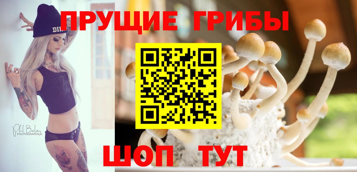 Галлюциногенные грибы Cubensis Калининград